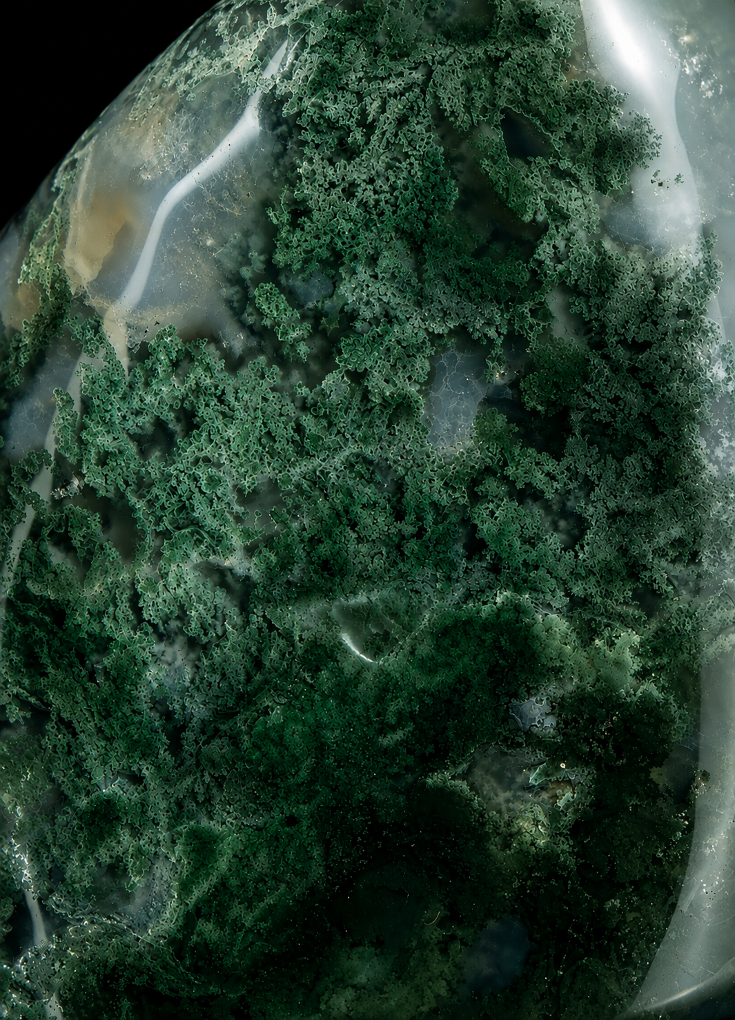 Moss Agate: What It Actually Is, and Why It's Suddenly Everywhere